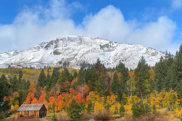 kim steed photography red creek cabin